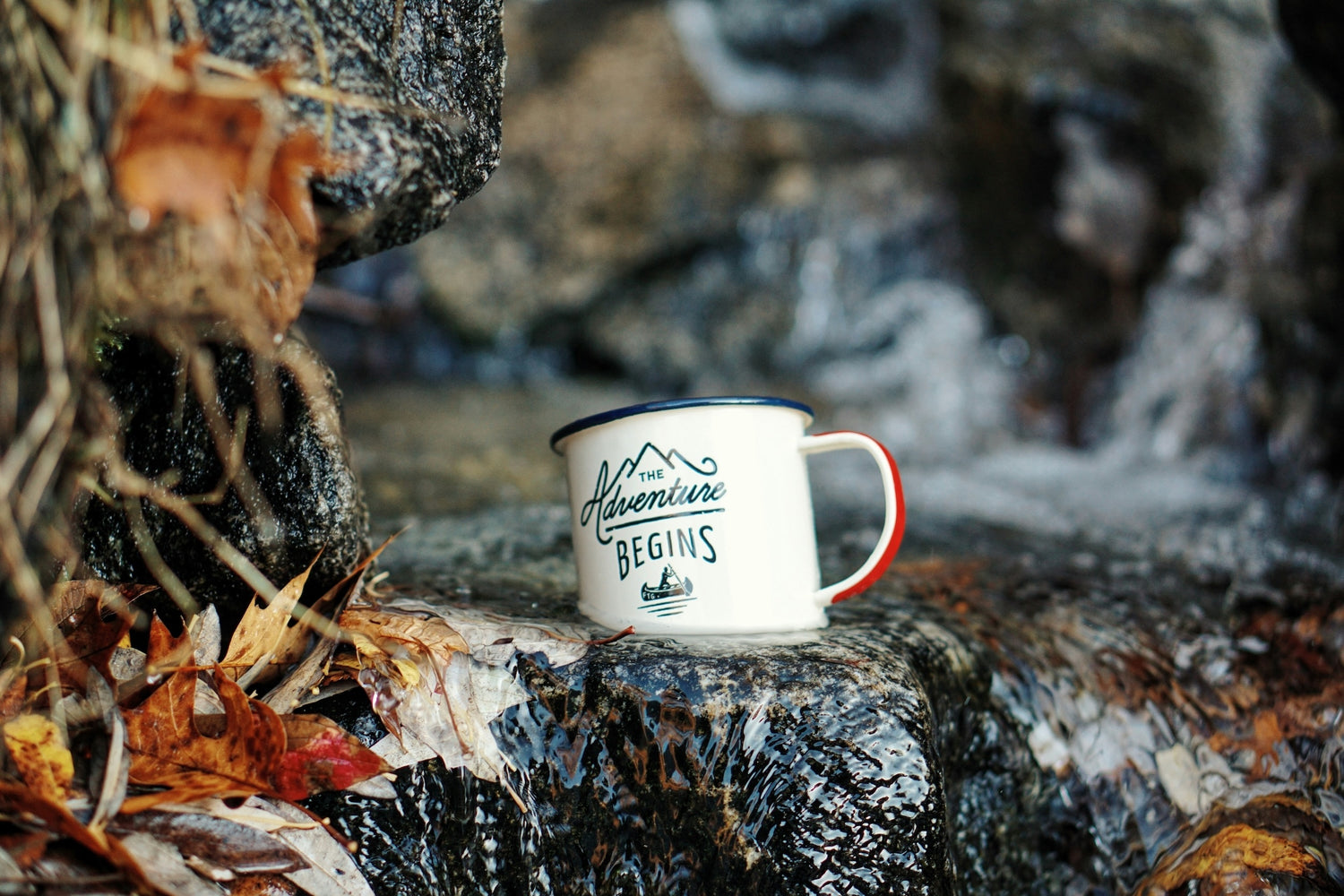 Coffee roaster Nova Scotia-metal coffee cup in the forest-Expedition Coffee Roasters
