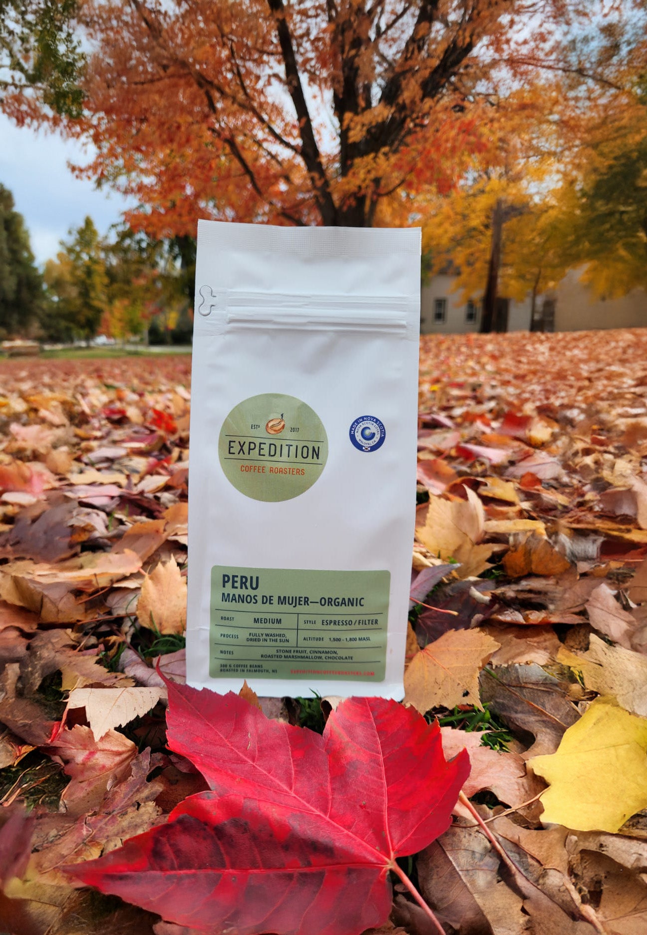 Coffee package labeled 'Expedition Coffee' on a bed of autumn leaves with trees in the background.