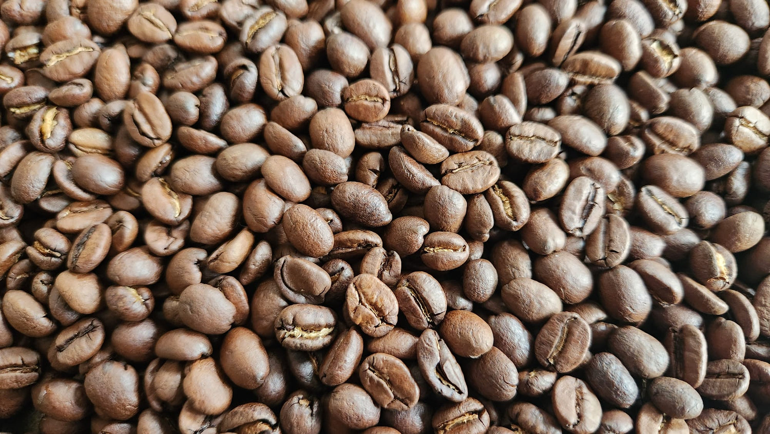 Close-up of medium roasted coffee beans